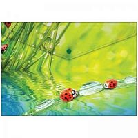 Папка-конверт на кнопке А4 Берлинго АКк_04032 Папка-конверт на кнопке А4 Берлинго АКк_04032