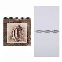 Блокнот Sketchbook Полином А5 2610 60 листов Fine Line