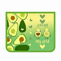 Папка для тетрадей А5 ПМ-А5-22 Авокадо лав