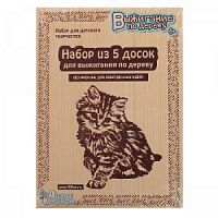 Выжигание по дереву Набор из 5 досок 01731 Десятое королевство