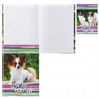 Бизнес-блокнот А5 БиДжи 80 листов 4730 Small miracle Бизнес-блокнот А5 БиДжи 80 листов 4730 Small miracle