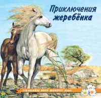 Фламинго Приключения жеребенка Познаем мир