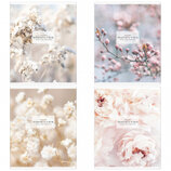 Тетрадь 48 листов ARTspace 42964 линия Цветы. Flowers for inspiration