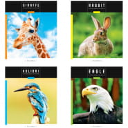 Тетрадь 48 листов ARTspace 29620 Животные.Save wild world