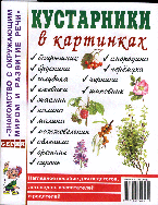 Гном Нагл пособие Кустарники в картинках
