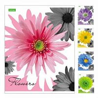 Тетрадь 96 листов Хатбер 24823 Flowers