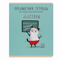 Тетрадь 48 листов Феникс Приключения кота Пифа- Алгебра