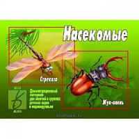 Демонстрац материал Насекомые