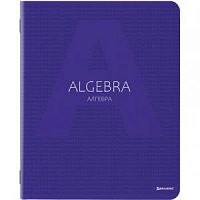 Тетрадь 48 листов BRAUBERG предм серия COLOR/Алгебра 403978