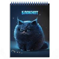 Блокнот А6 80 листов Феникс 65957 Кот