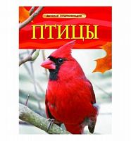 Росмэн Детская энциклопедия Птицы