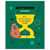 Тетрадь 40 листов БиДжи 12816 Записки школьника История
