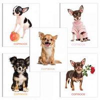 Тетрадь 48 листов BRAUBERG 403025 Питомцы Тетрадь 48 листов BRAUBERG 403025 Питомцы