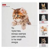 Тетрадь 48 листов Хатбер 27110 Котоюмор