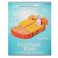 Тетрадь 48 листов Проф Игры разума Русский язык