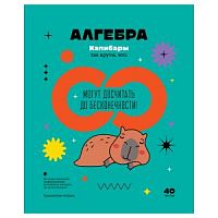 Тетрадь 40 листов БиДжи 12813 Записки школьника Алгебра