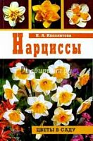Ипполитова Нарциссы Цветы в саду
