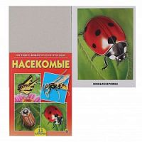 Рыжий кот НДП Насекомые 12 карточек