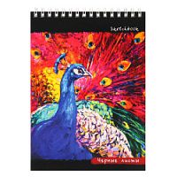 Блокнот Sketchbook Проф-пресс А5 20-5664 20 листов Павлин Черные листы