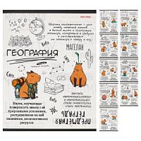 Набор предметных тетрадей 10 шт.48 листов Проф Капибара