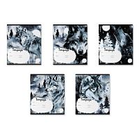 Тетрадь 18 листов клетка ErichKrause 60562 Timber Wolf  Mix-pack