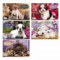 Альбом 40л.Хатбер спираль 04104 Любимцы