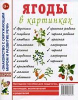 Гном Нагл пособие Ягоды в картинках