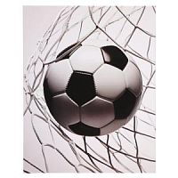 Дневник Кокос 241221 Гол Football monochrome