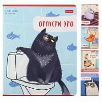 Тетрадь 48 листов Хатбер 29074 линия Кот-обормот