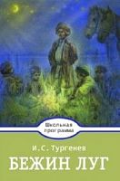 Тургенев Бежин луг Стрекоза Школьная программа