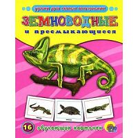 Проф-Пресс Обучающие карточки Земноводные