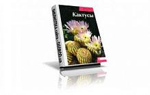 Гренер Кактусы и другие суккуленты