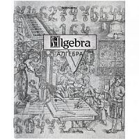 Тетрадь 48 листов BRAUBERG предм серия SILVER/Алгебра 404012