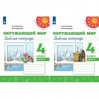4 кл Плешаков Новицкая Рабочая тетрадь Окружающий мир Перспектива 