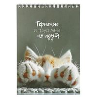 Блокнот для эскизов Sketchbook А5 Кокос Кошашья жизнь 30 листов 252746