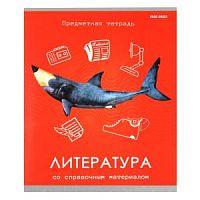 Тетрадь 48 листов Проф Игры разума Литература