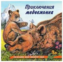 Фламинго Приключения медвежонка Познаем мир