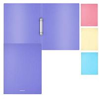 Папка 2-х кол.ЕК Matt Pastel 49977