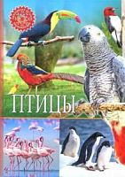 Владис Популярная детская энциклопедия Птицы 