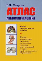 Самусев Атлас анатомии человека м/ф