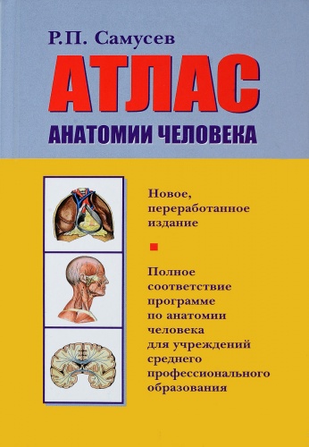 Самусев Атлас анатомии человека м/ф