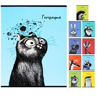 Набор предметных тетрадей 10 шт.48 листов Феникс 58475